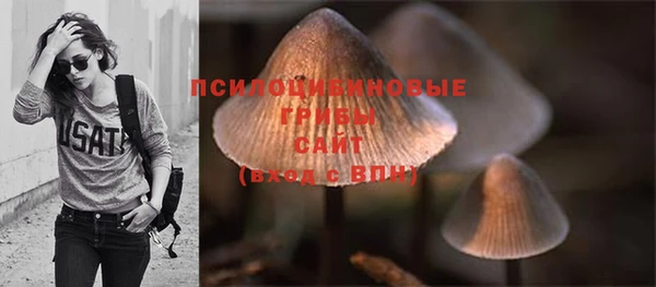 хмурый Абдулино