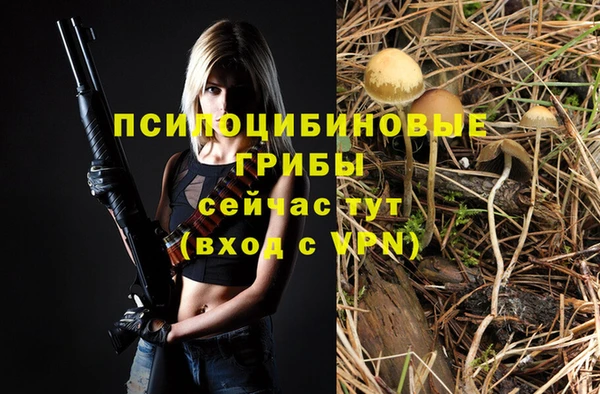 хмурый Абдулино