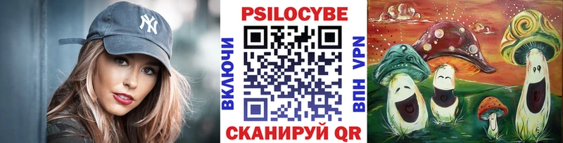 как найти   Агрыз  Галлюциногенные грибы Psilocybe 